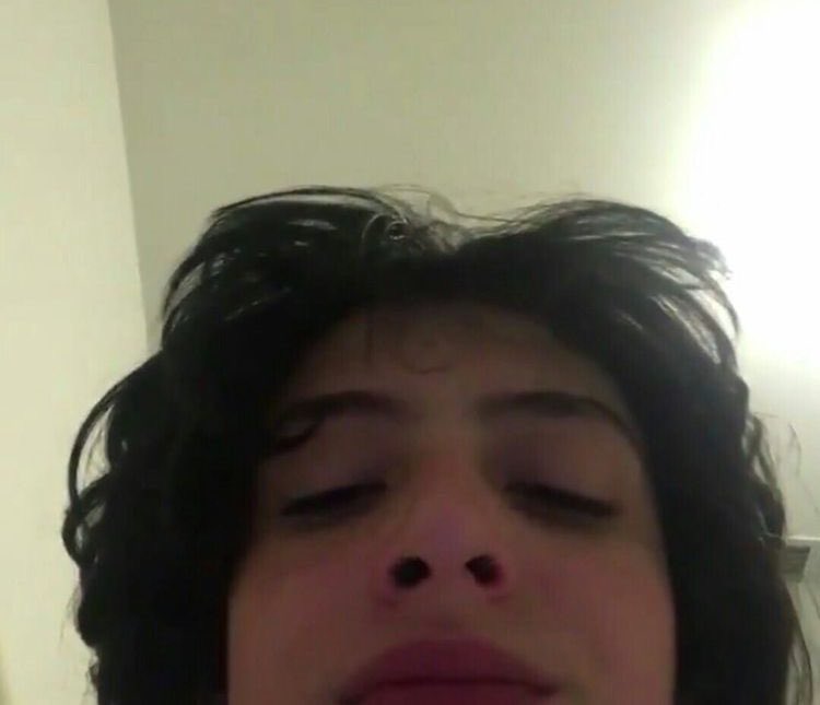 wheezella wheeler‎ 𖠰 tweet media