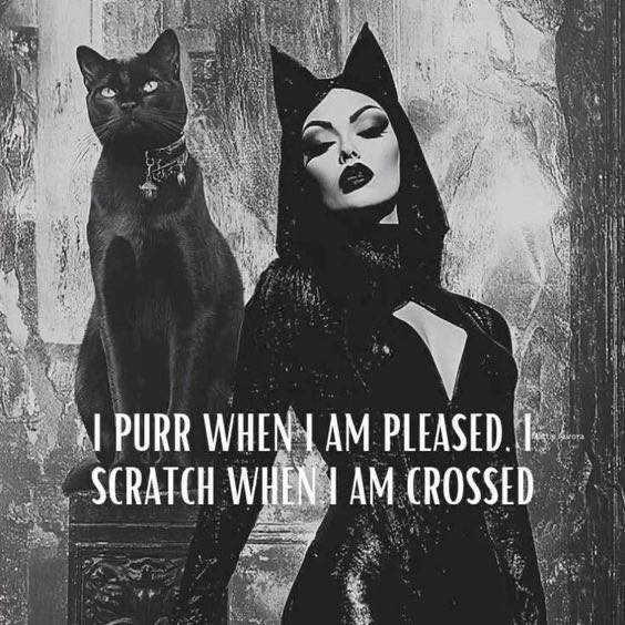 SubRosa )✿( Magick @subrosamagick.bsky.social (@subrosamagick) on Twitter photo 