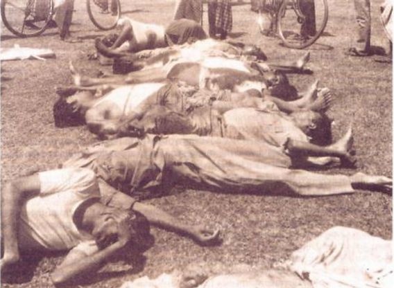 Dr. Eli David tweet media