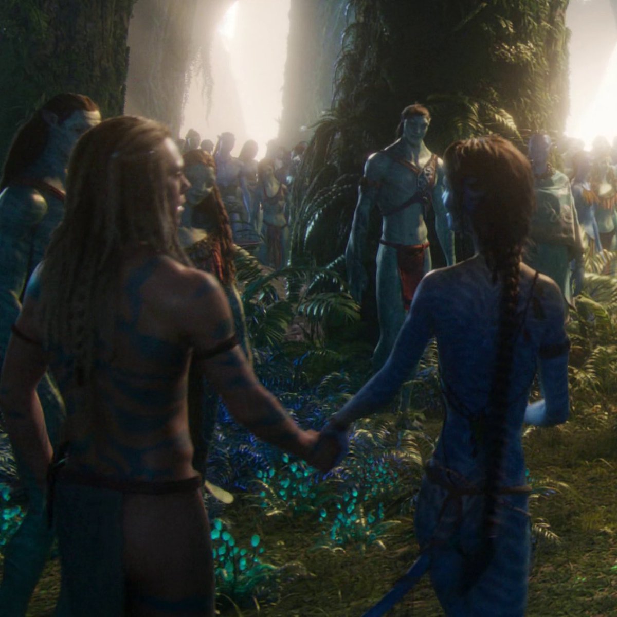 M🥷 Oma Explorer tweet media