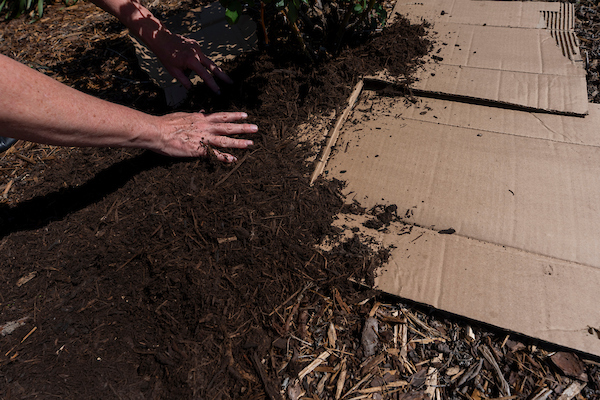 Texas A&M AgriLife Extension Service tweet media