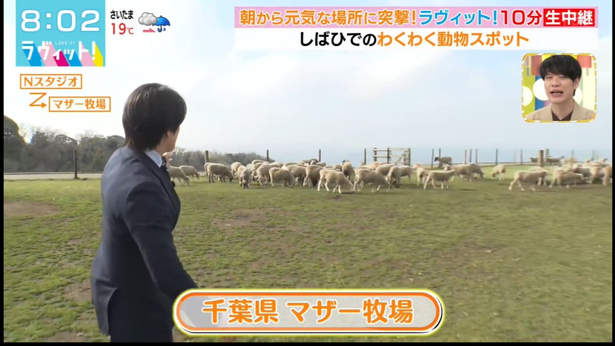 くらら tweet media