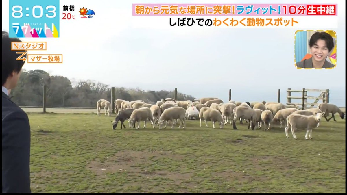 くらら tweet media