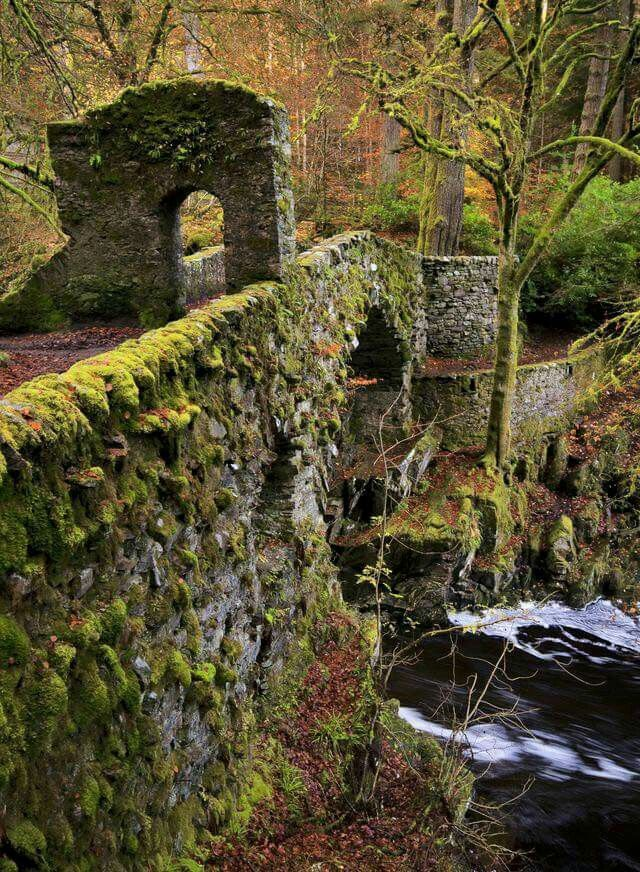 only aesthetic tweet media