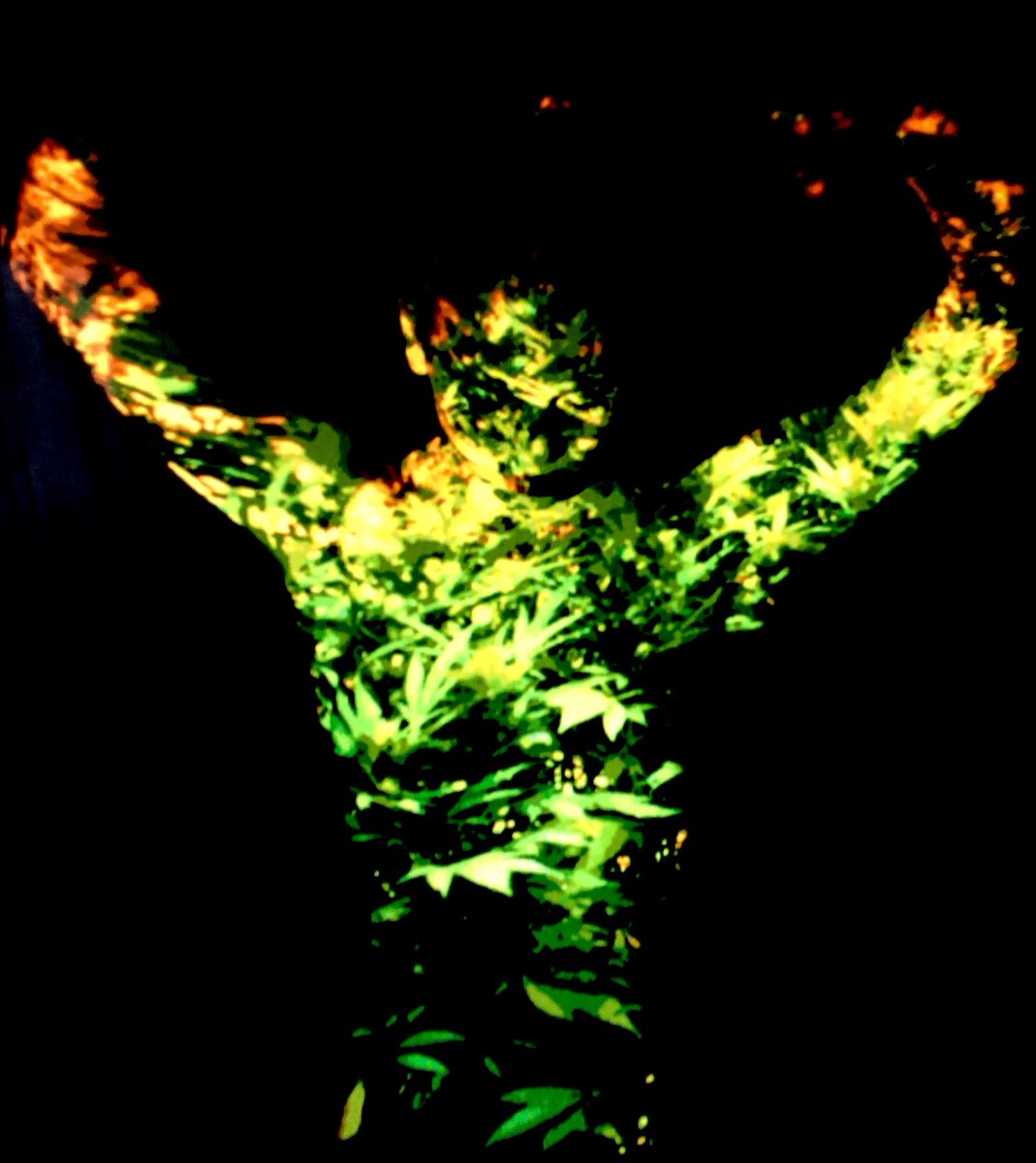 projectpeace's tweet image. PJvH, glimpses along the #Hemp trail, least traveled…