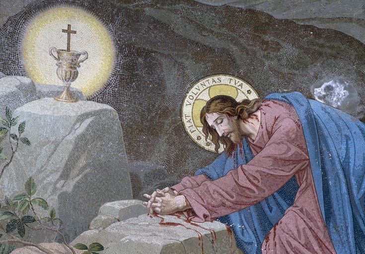 Catholic_bro's tweet photo. Your will be done https://t.co/A0ZPb6o4tO