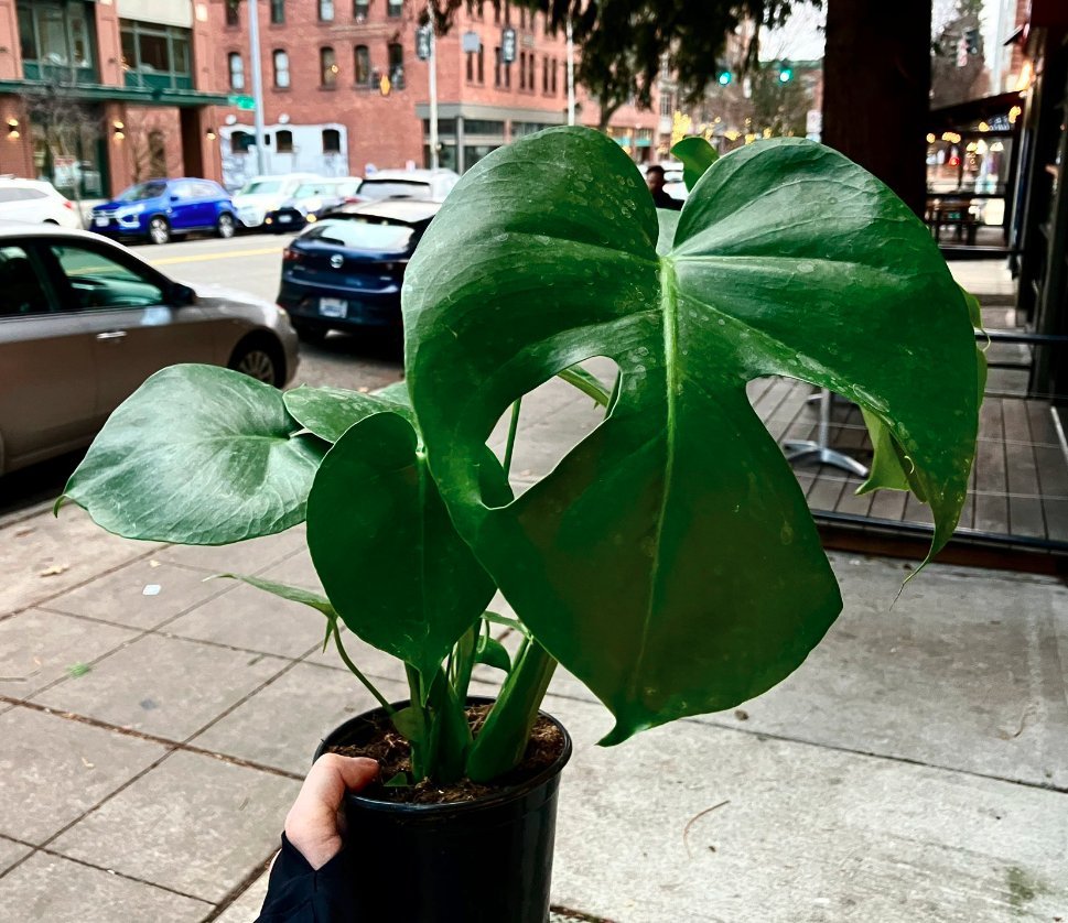 SeizureSalad 🧠 tweet media