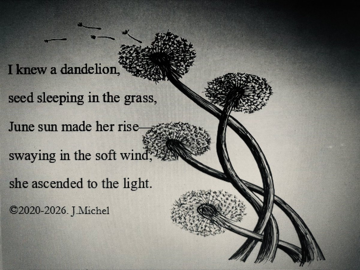 jhasmoments's tweet photo. #writing #artㅤㅤㅤㅤ #poem https://t.co/QnfHBNRMLE
