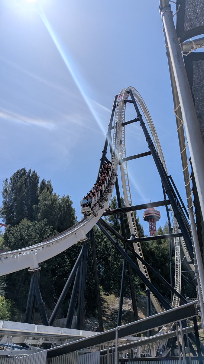 Bucees Enjoyer tweet media