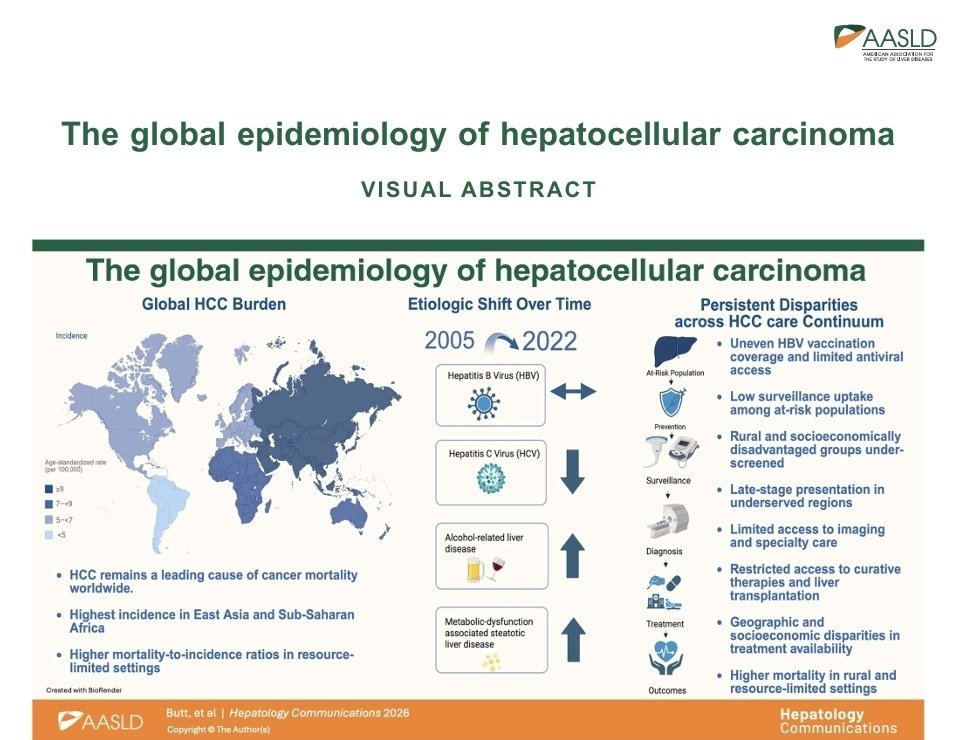 massimoiava's tweet image. @AASLDtweets #HCC #MASLD #HBV @ILCAnews @EASLnews