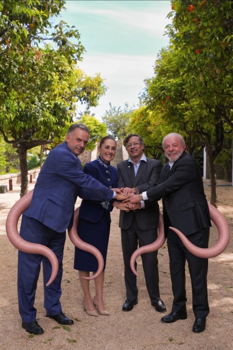 Melissa Ⓜ️ tweet media