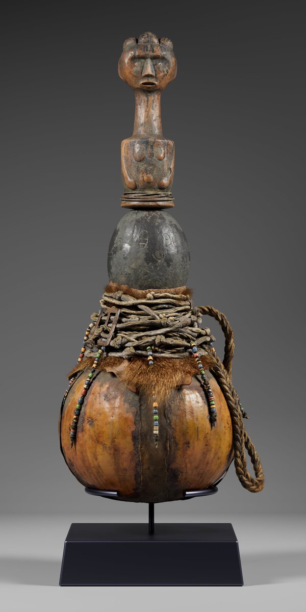 honeydew junior tweet media