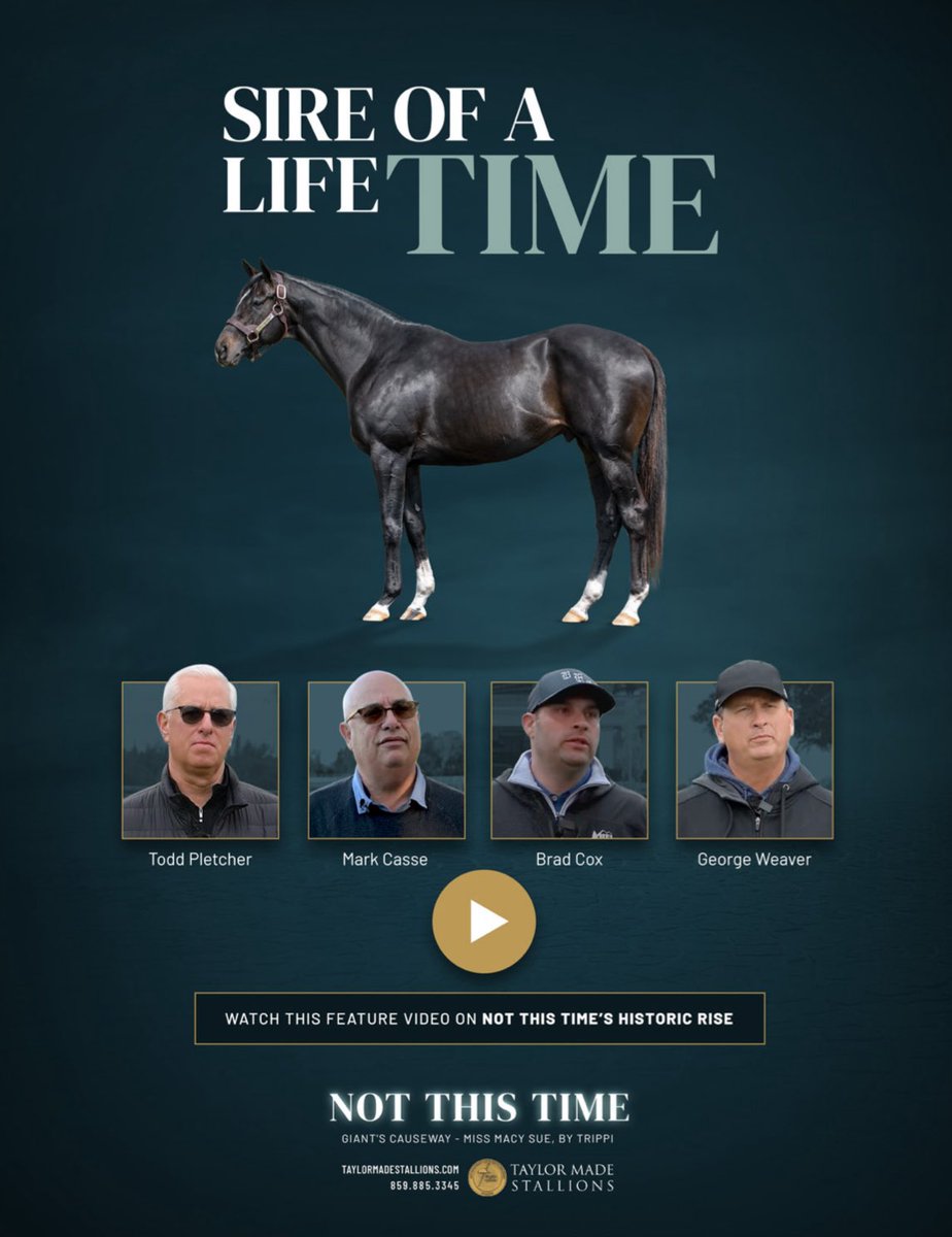 Sire of a LifeTIME ⏰ 

Watch this feature video on NOT THIS TIME’s historic rise 🎥 taylormadestallions.com/ntt/

📍 <a href="/TMStallions/">Taylor Made Stallions</a>