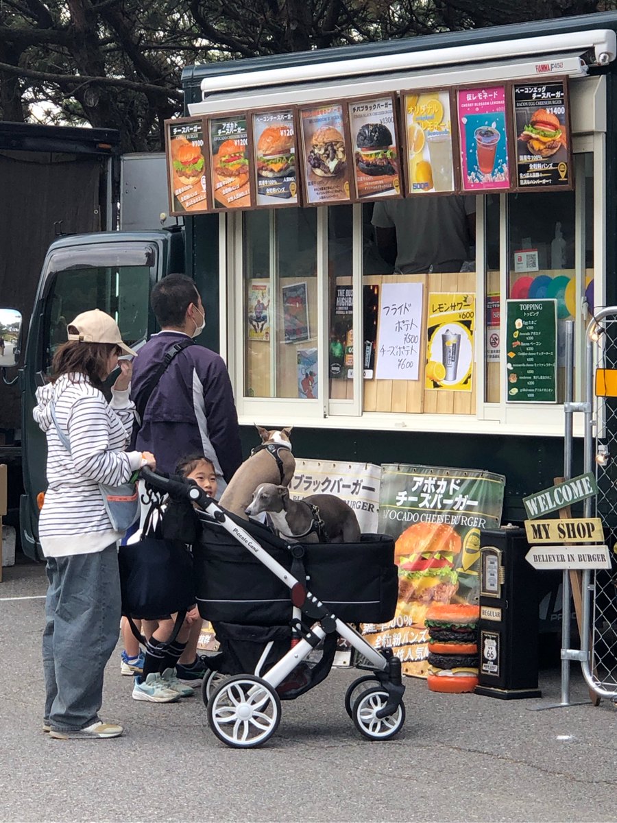 Ashley Murdock tweet media