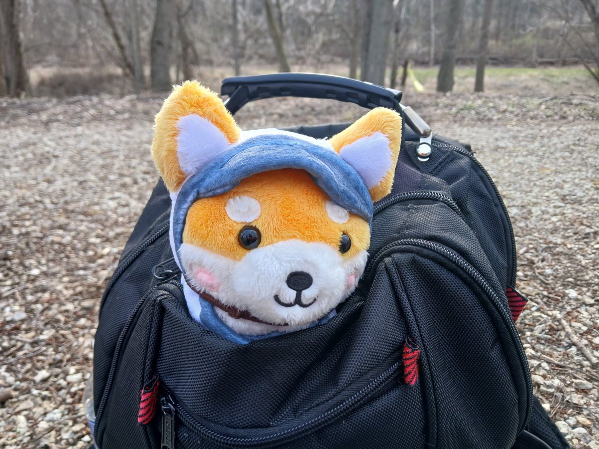 Natalie F Danelishen tweet media