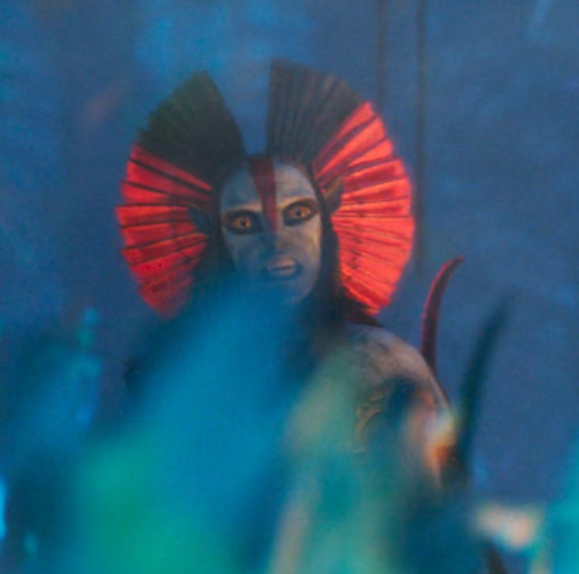 ᦓꪮꪶ tweet media