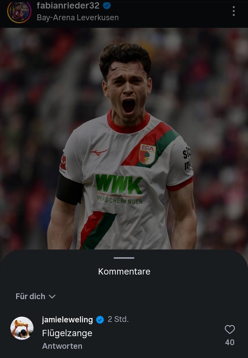 Sapphire1893's tweet image. Löweling unter dem Beitrag von Rieder. 

#VfB