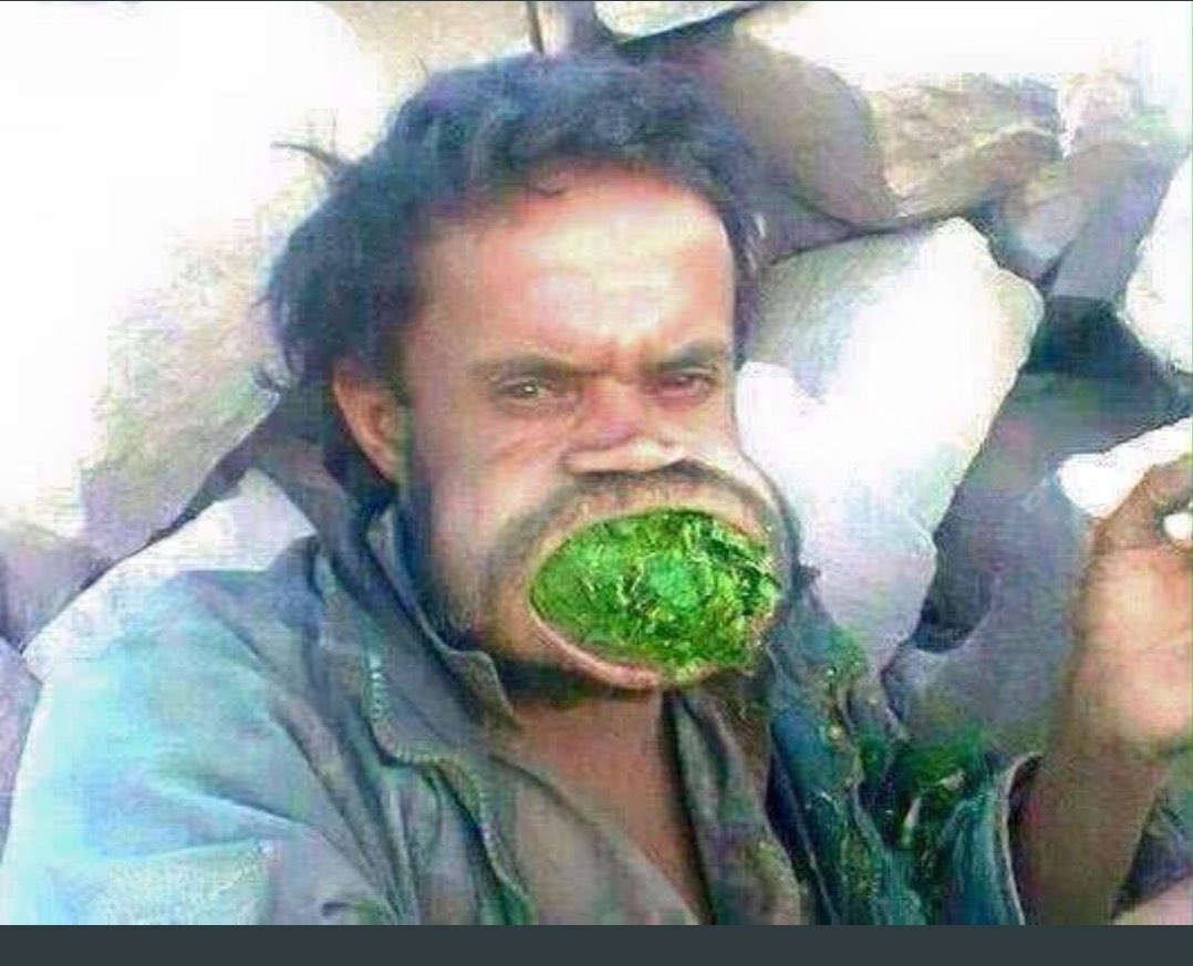 محمد الصواط tweet media