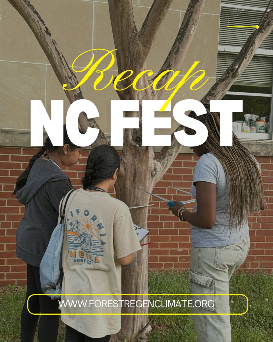 ForestregenC's tweet photo. Take a look at highlights from the just concluded NC FEST https://t.co/rIMj98VICz