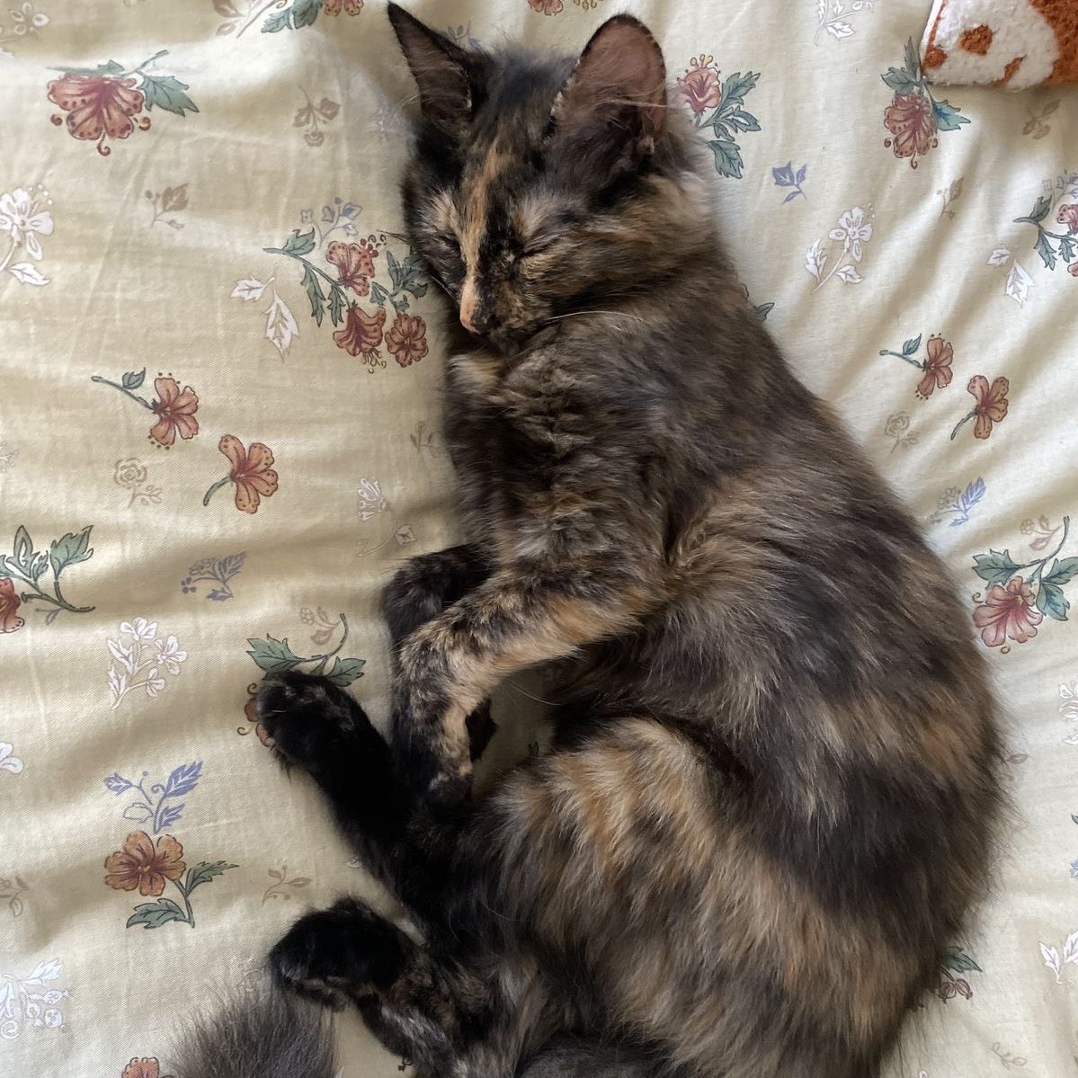lyni 🐈‍⬛ tweet media