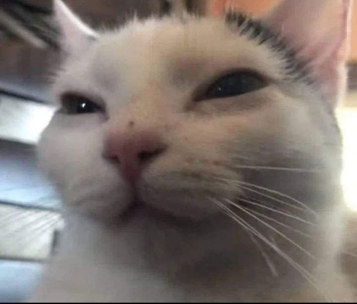 🔥🖤👁️Ren👁️💙🔥🔞 tweet media