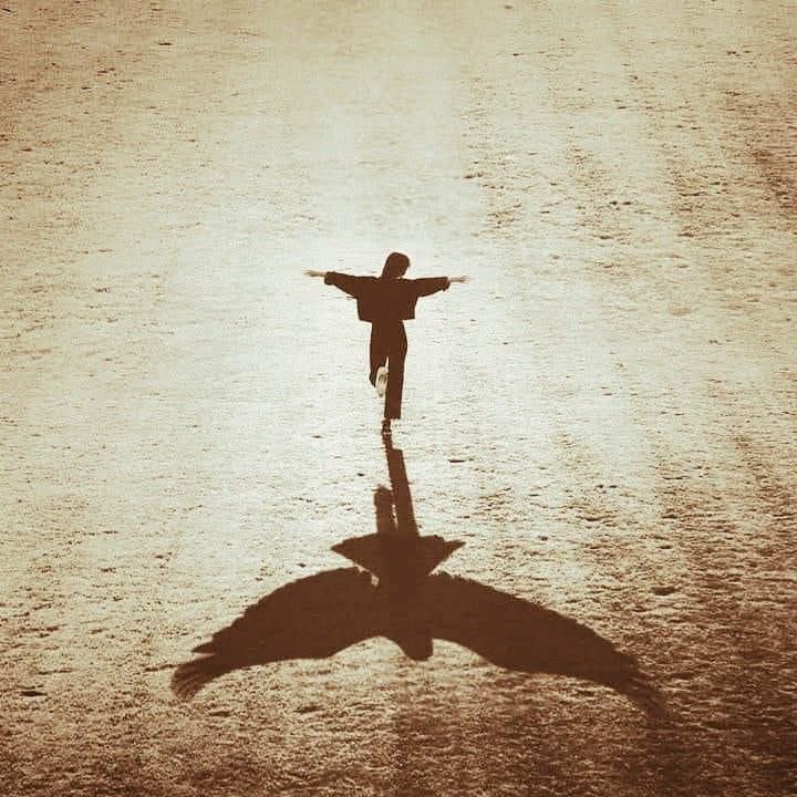 فلسفة مُلهمة ‏| QASEM BIN ALI tweet media