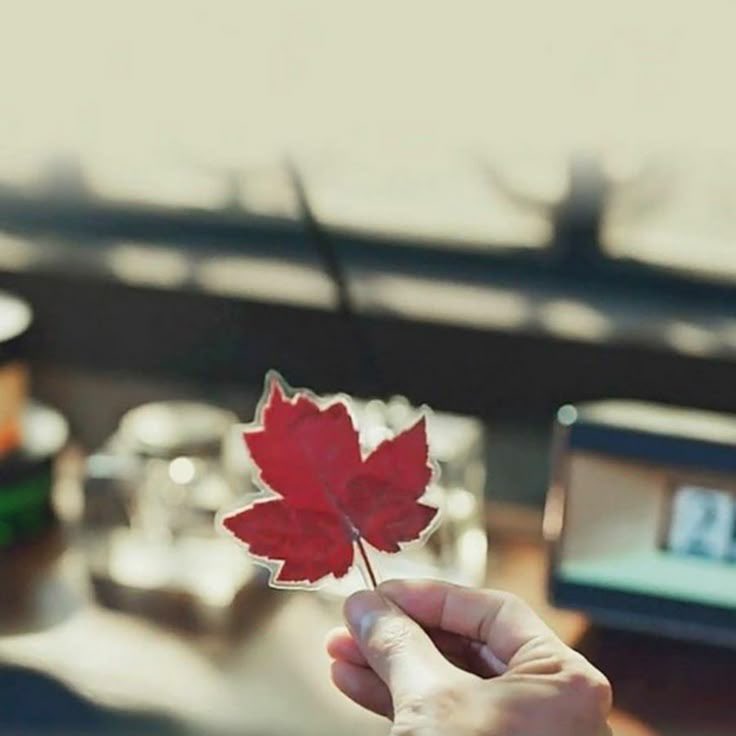 Perfect Crown tweet media