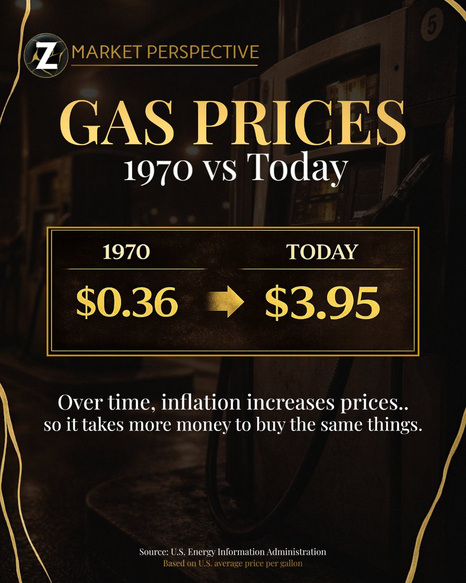 Lynette Zang tweet media