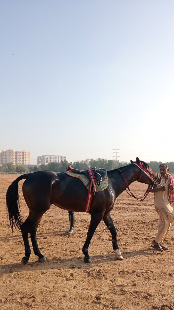 Syed Sabir Shah tweet media