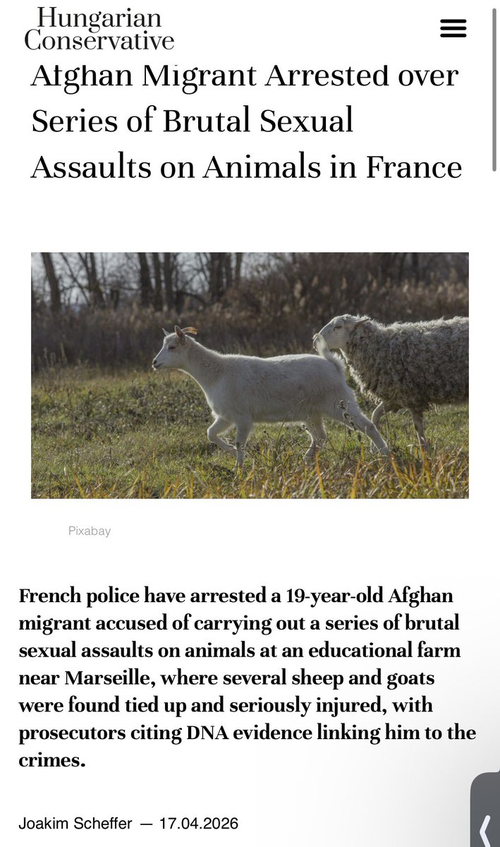 Sana Ebrahimi Ledene tweet media