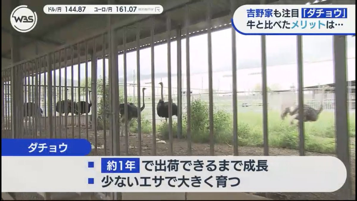 お侍さん tweet media