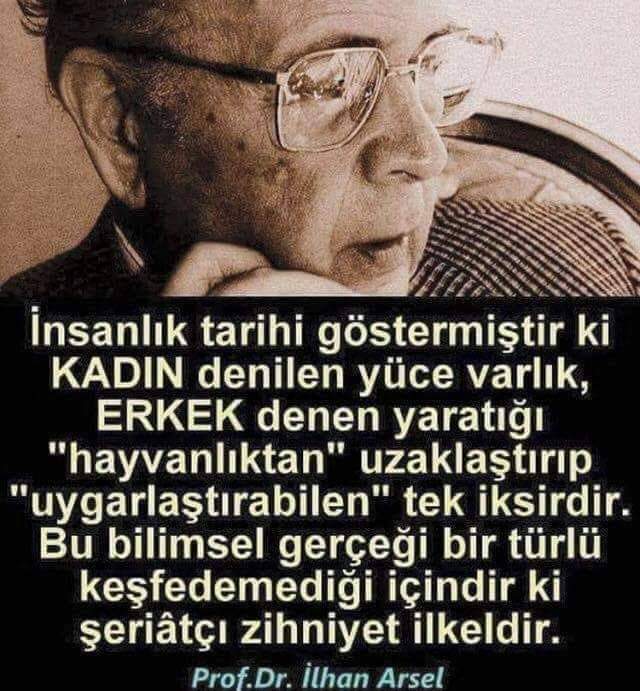 Haluk tweet media