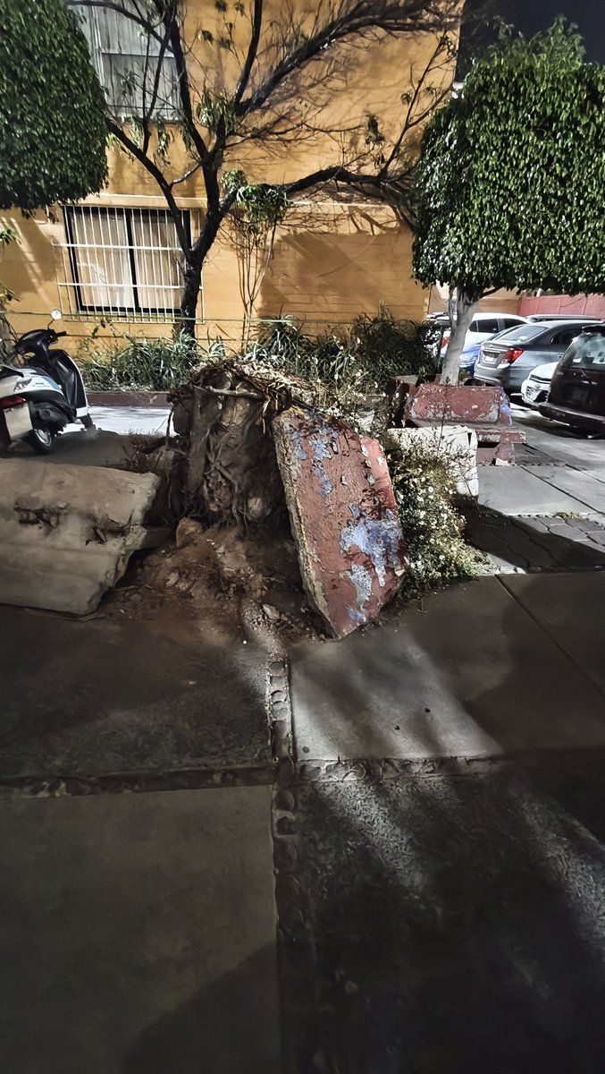 petitvgm's tweet photo. En unidad habitacional hay restos de árbol, tierra y concreto invadiendo la banqueta, lo que representa un riesgo para peatones y vecinos.
📍sur 12c #10
Se solicita a las autoridades corresp apoyo para retirar los escombros y evitar accidentes 
#CDMX #ServiciosUrbanos https://t.co/OUt6Z66vzf