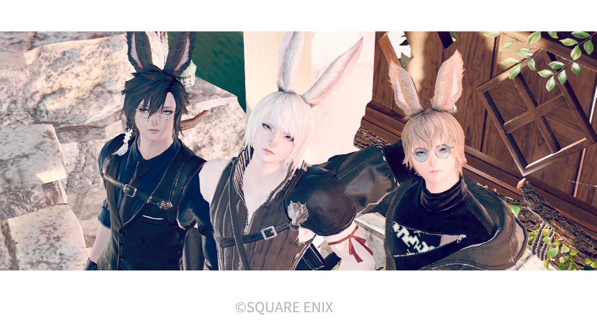 🌱むむ tweet media