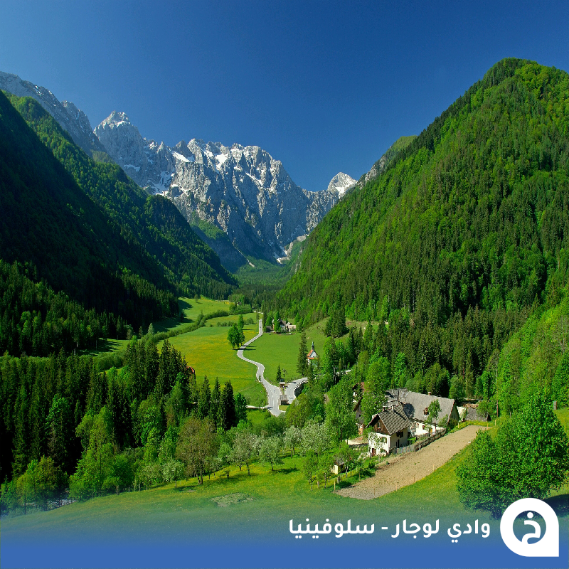 TouristMapsApp's tweet photo. وادي لوجار #سلوفينيا🇸🇮

أحد أجمل 5 أودية في منطقة #الألب، يتميّز بطبيعته الخضراء البِكر، ومراعيه الألبية الواسعة، وتنوّع نباتي غني بالزهور النادرة، تحيط به قمم شامخة تتزيّن بالثلوج معظم العام. يضم الوادي أكثر من 20 شلالًا، أبرزها شلال رينكا بارتفاع يقارب 90 مترًا، ويُعد من أشهر وأجمل شلالات سلوفينيا. وجهة مثالية للمشي والتصوير والاسترخاء وسط طبيعة هادئة ونقية 🏞️🌲🌸🌊📸😍↓

Logar Valley (الوادي)
📍https://t.co/cwzY1AuJjm
Rinka Waterfall (شلال)
📍https://t.co/xIOPLPCOWA

• مُضاف في خريطة سلوفينيا السياحية.
