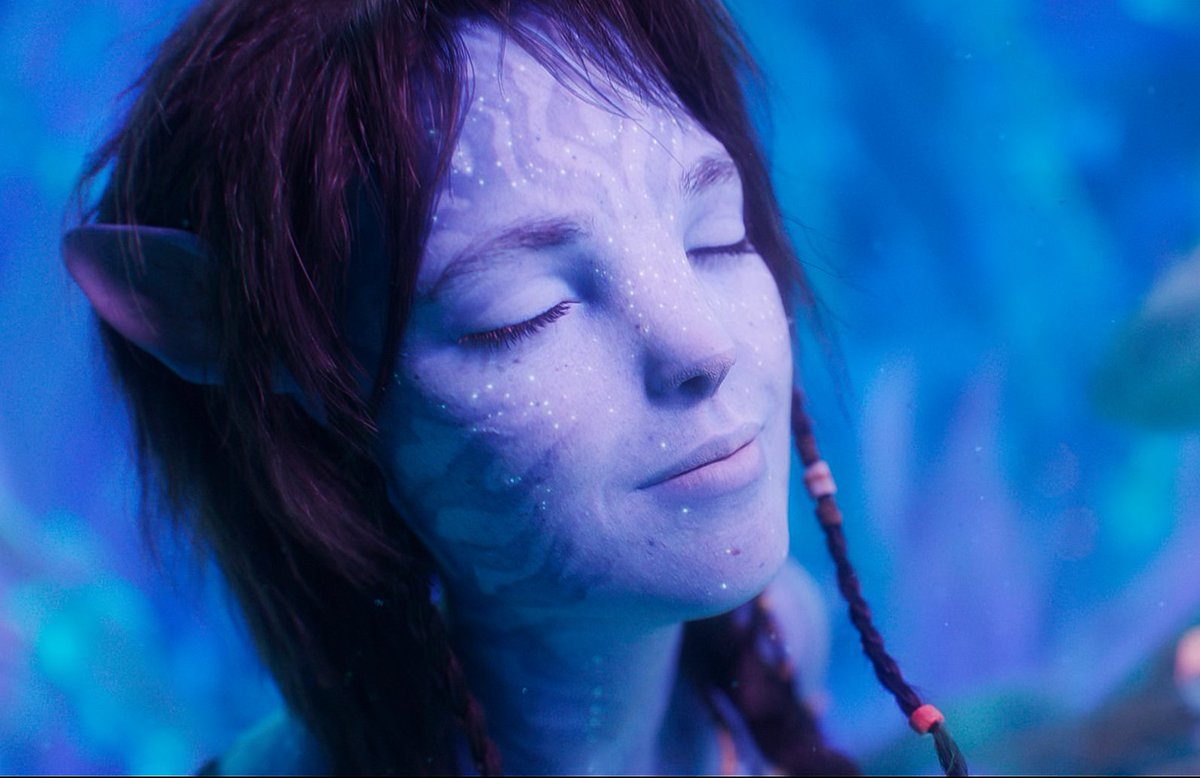 ᦓꪮꪶ tweet media