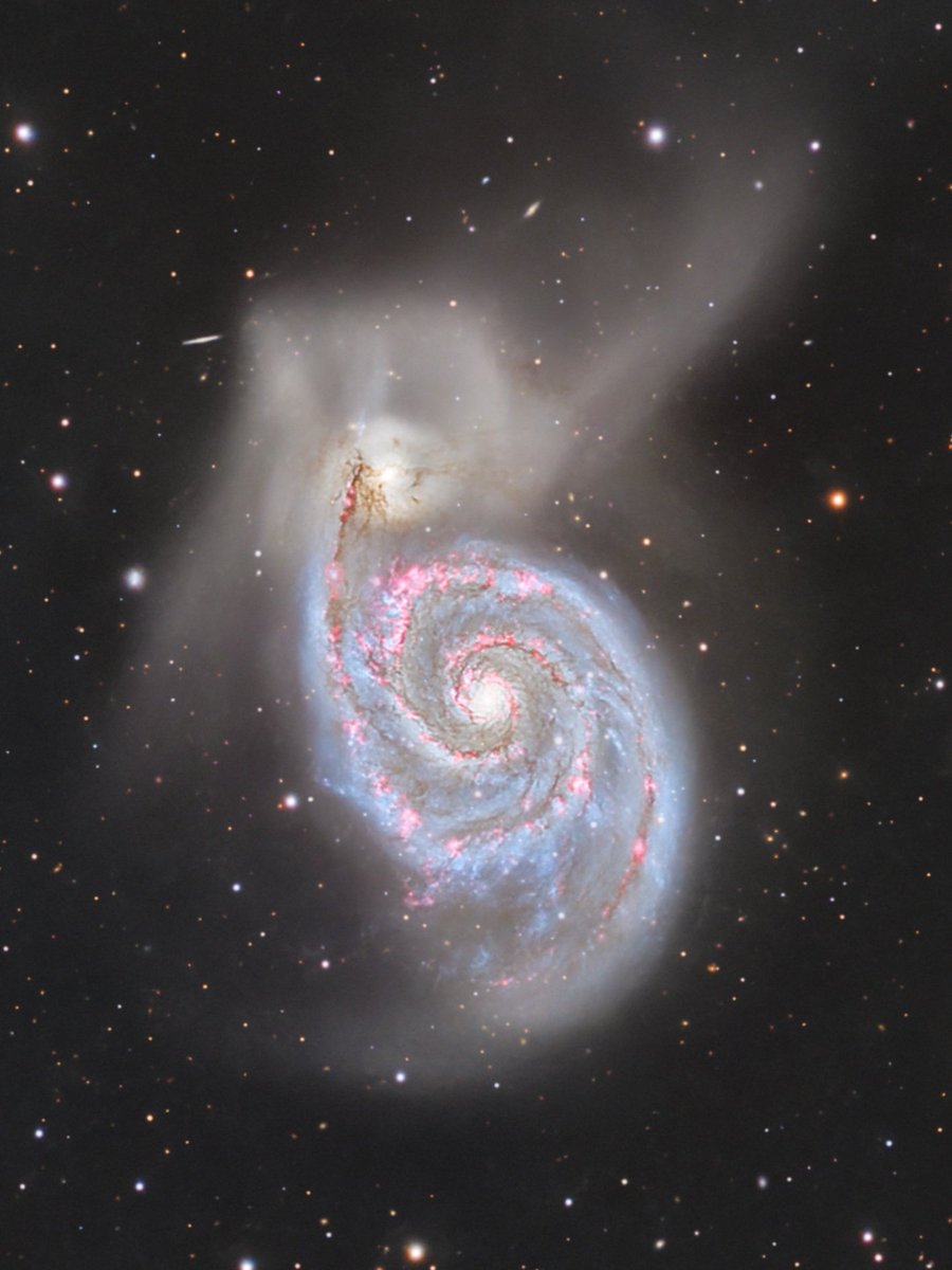 Ethan Roberts tweet media