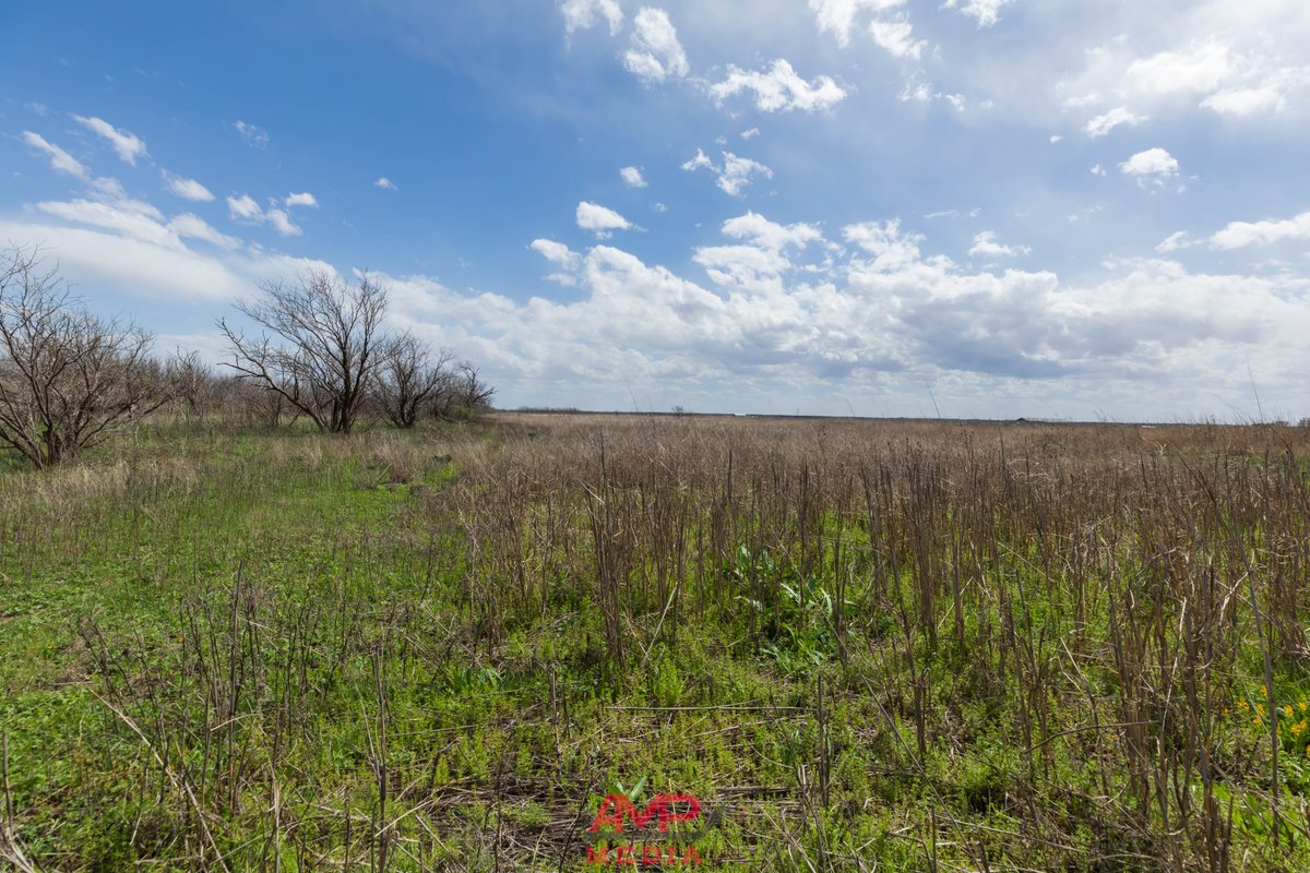 37± acres just south of #Anson. Level #homesite with native grasses and a wet weather creek. Water well in place and electricity available. Call Lisa Terrell at (325) 668-2385 to see this property before it is gone.

ekdahlrealestate.net/properties/37-…