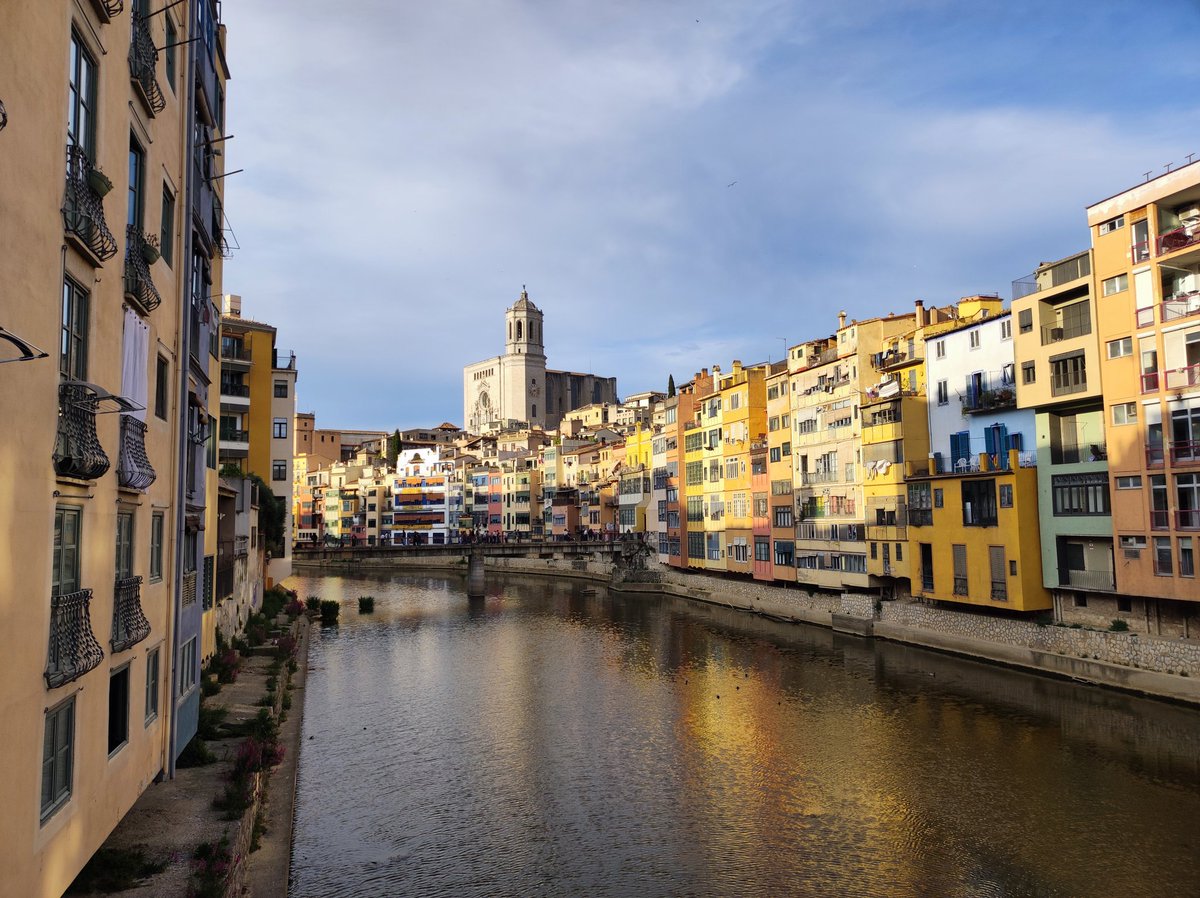 Roger Bastida tweet media