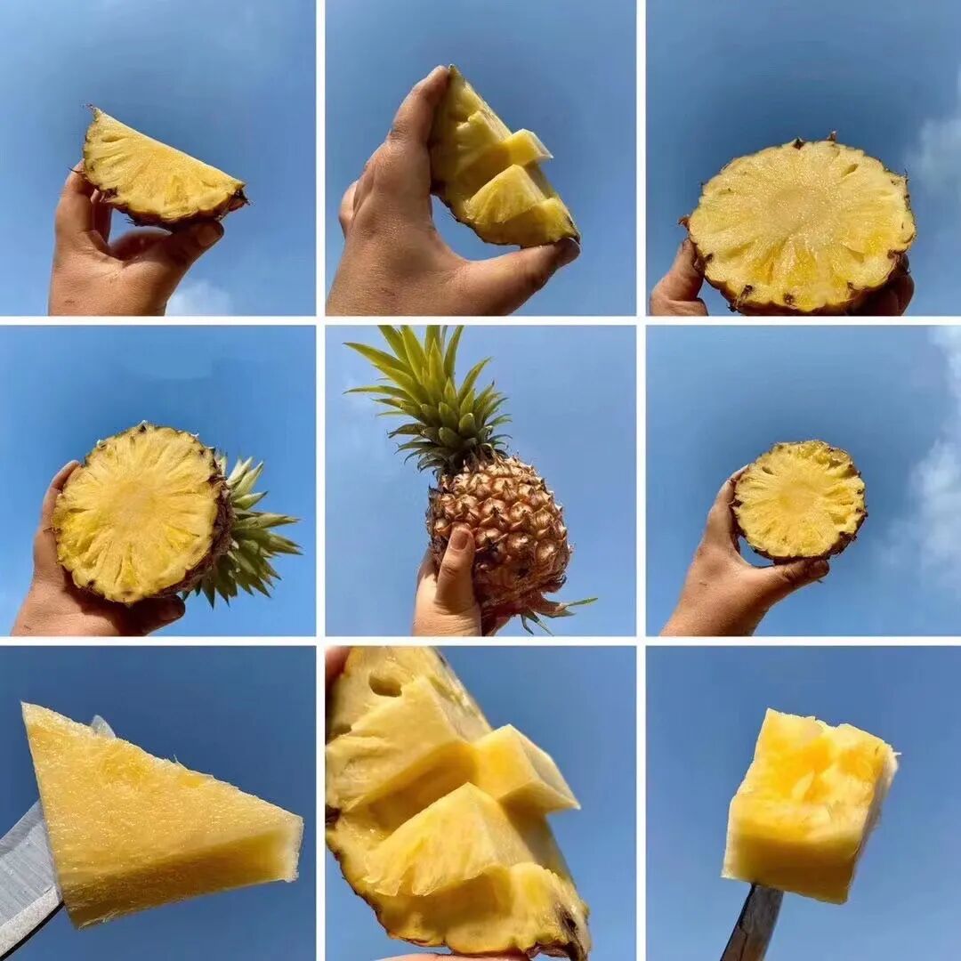 SurfTownWanning's tweet image. 🍍🍍💛💛Is Hainan too hot for a Color Walk? Then let’s have a #Color Eat! Enjoy “ #pineapple freedom” in the ocean breeze of Longgun, #Wanning. Sink your teeth into freshly picked, sun-kissed pineapples bursting with juice, and make your own sweet and sour pineapple pork. Just