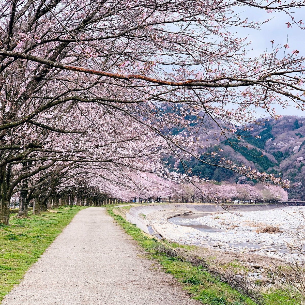 IndianPrairieLibrary tweet media