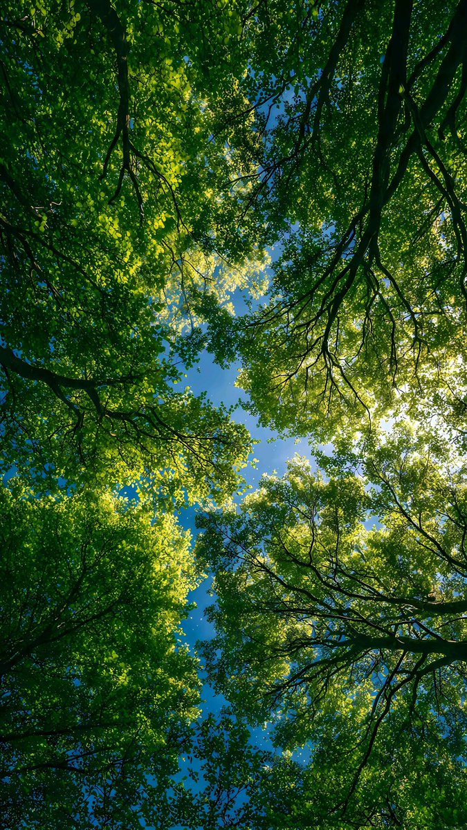 Purely Green tweet media