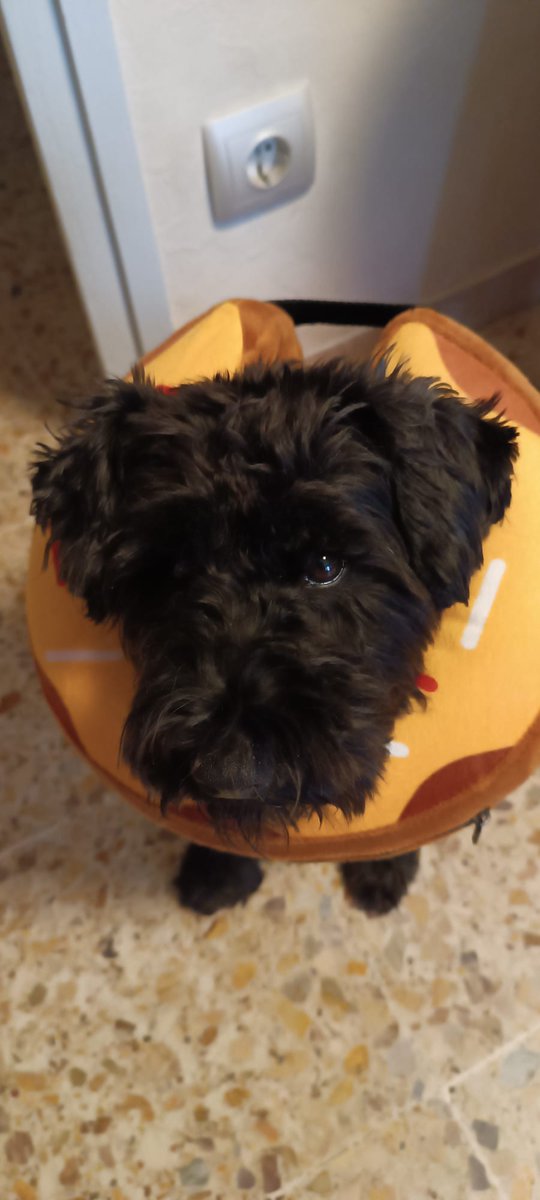 Hellsfox tweet media