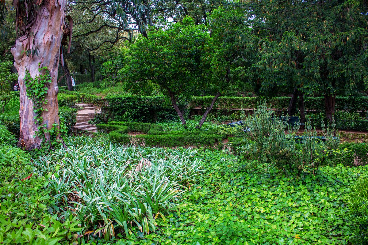 Rasim Acar tweet media