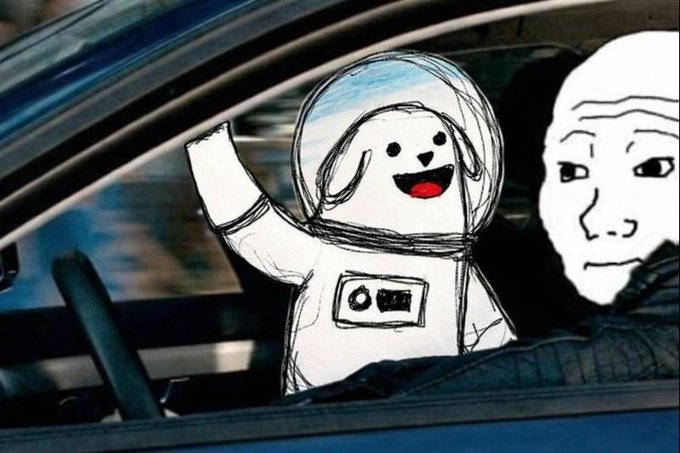 Space Dog tweet media