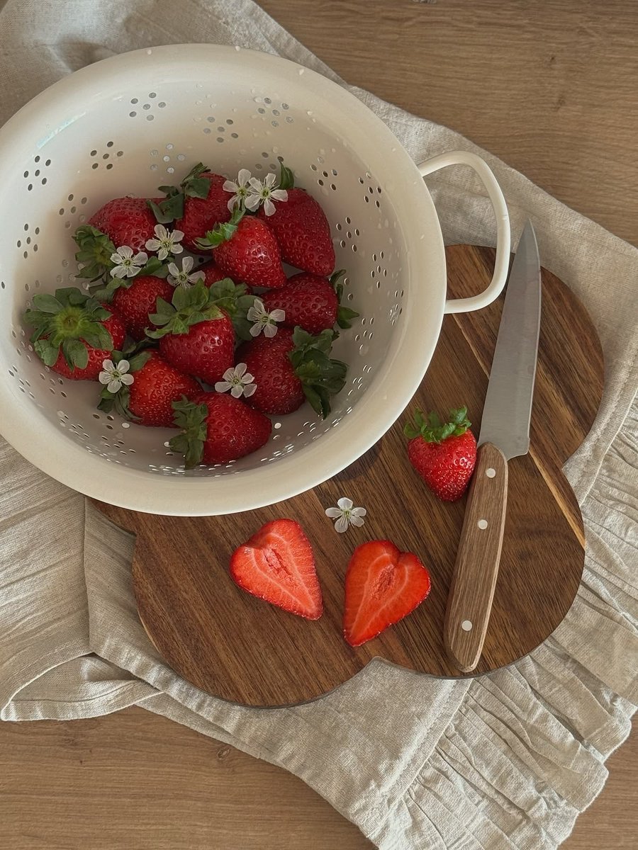 anise ❈ tweet media