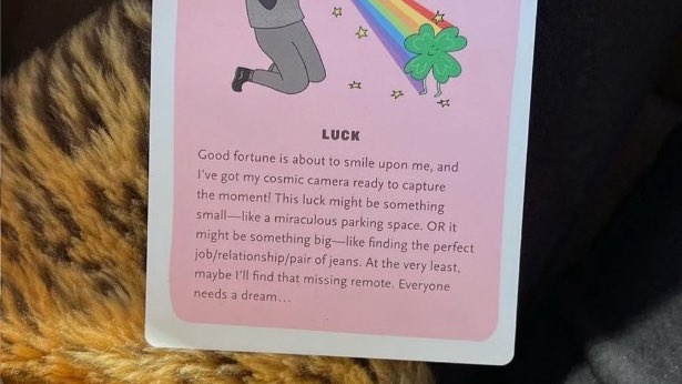 mirei ౨ৎ tweet media