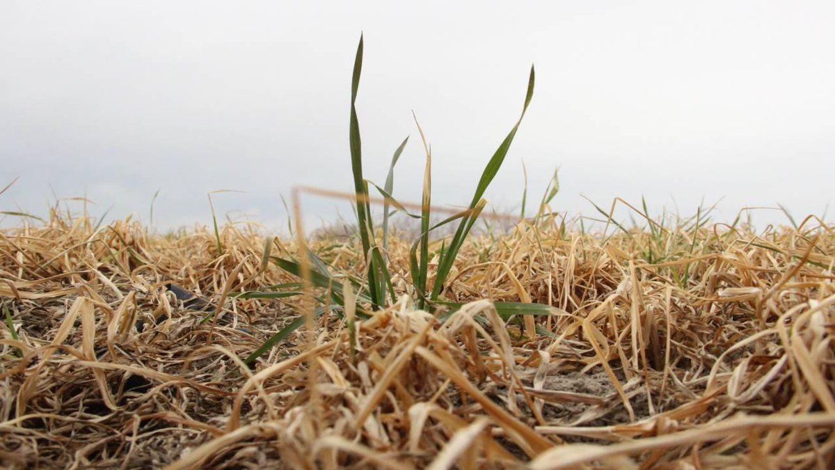 Anlık Haber Analiz tweet media