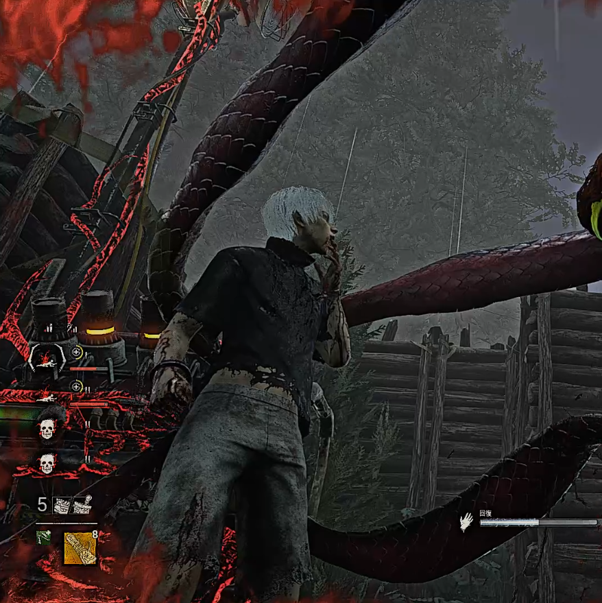 寝ながら見るメメント。先日の撮影会にて。