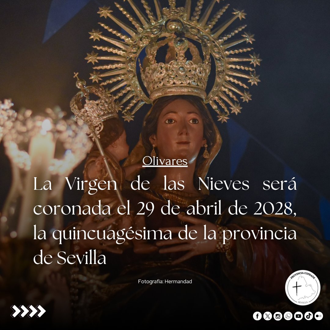 Provincia Cofrade tweet media